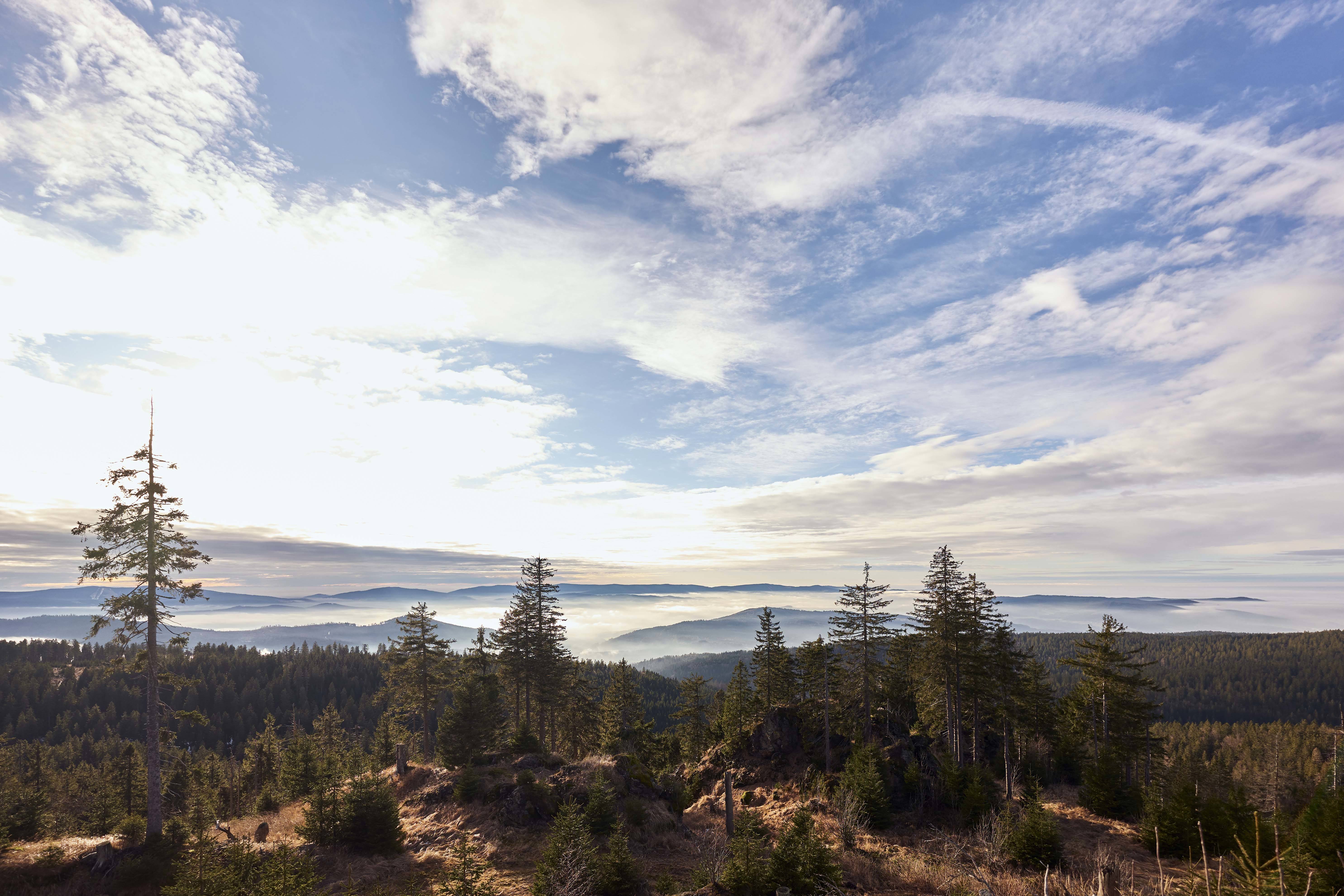 Nationalpark Bayerischer Wald