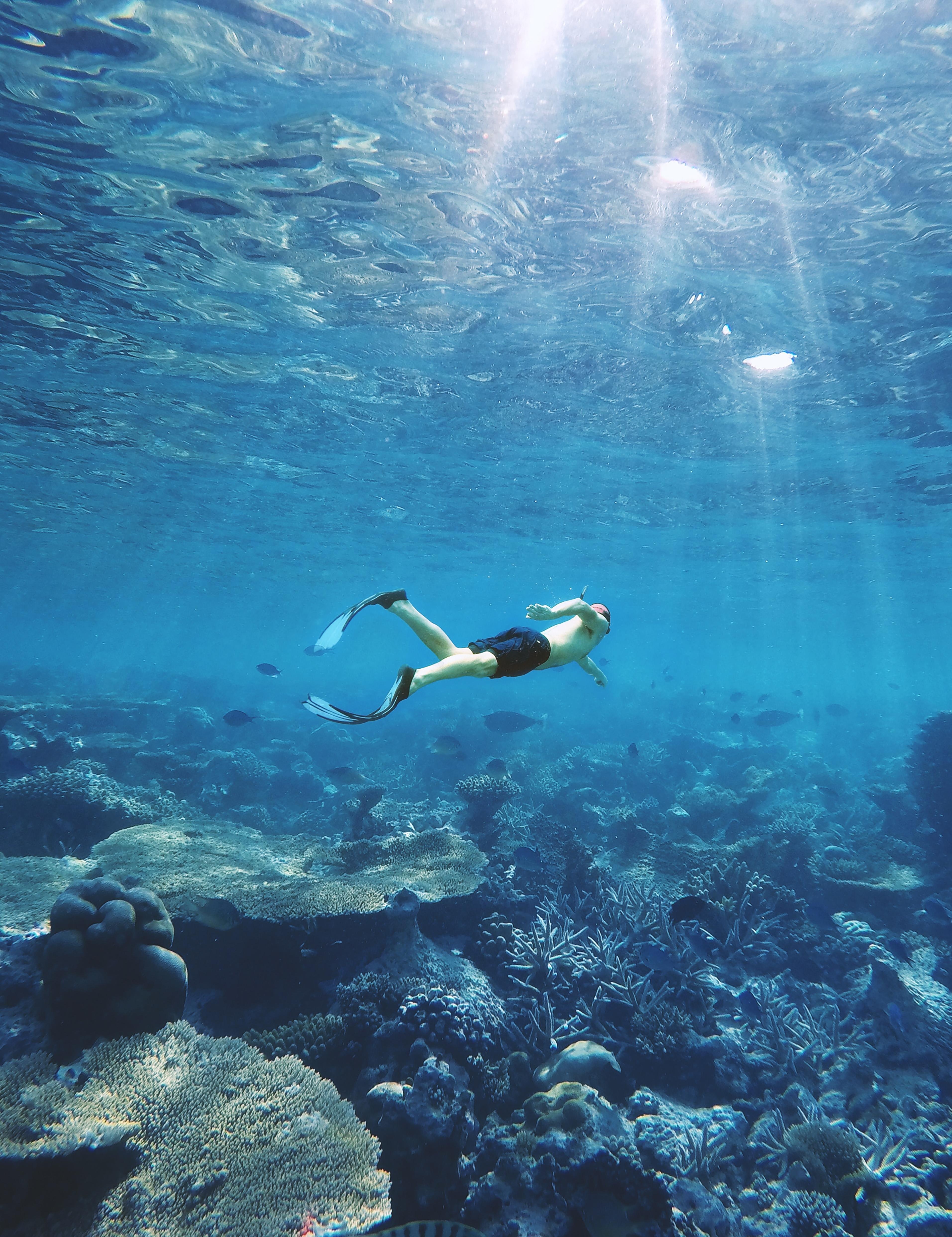 Discover Menorca's underwater world