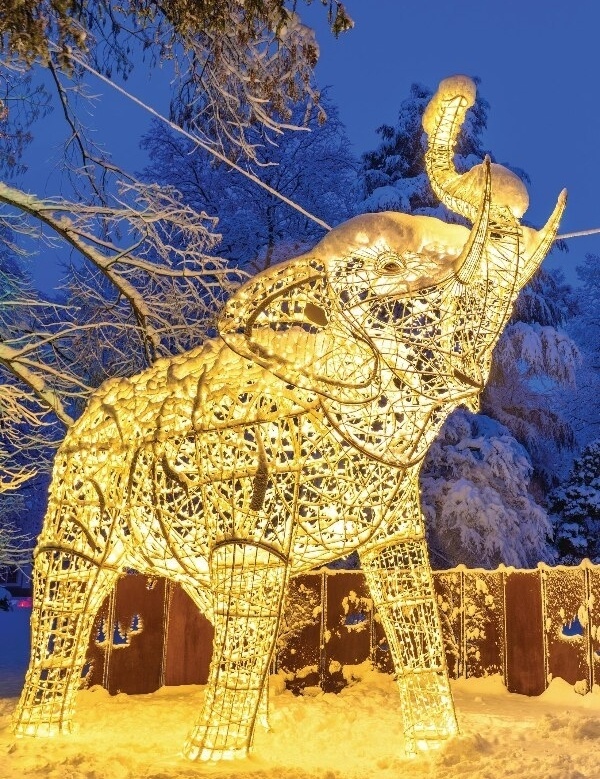 LUMAGICA Innsbruck image