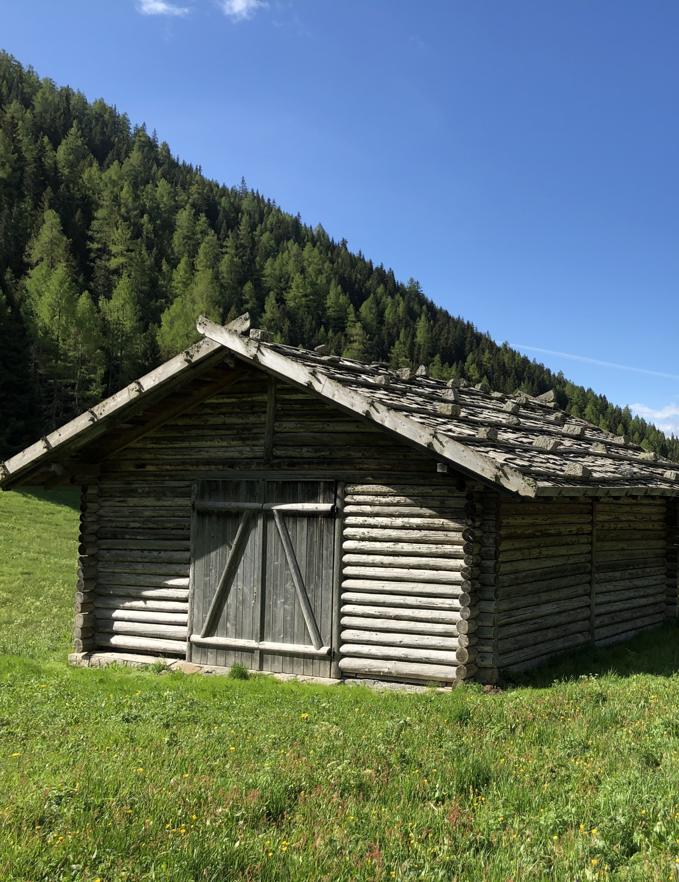 Via the marmot trail to the Altfasstal valley (OD03)