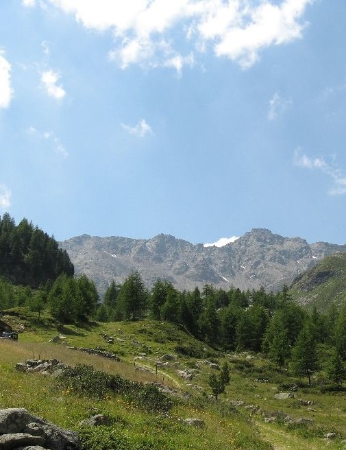 ALPE ZANDILLA