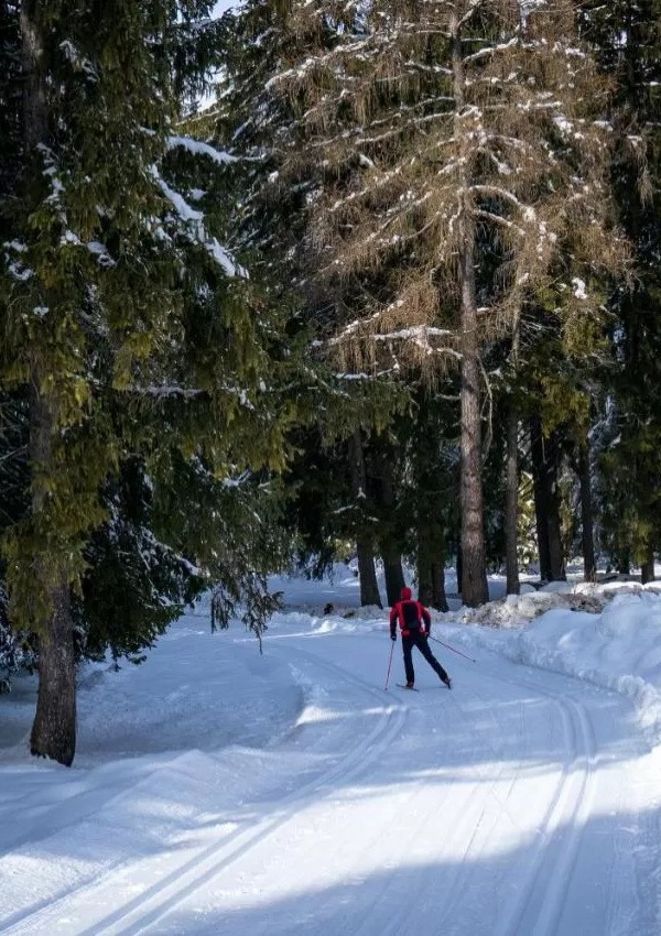 Cross-country skiing image