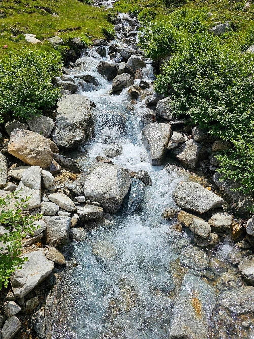 Ahorn spring water