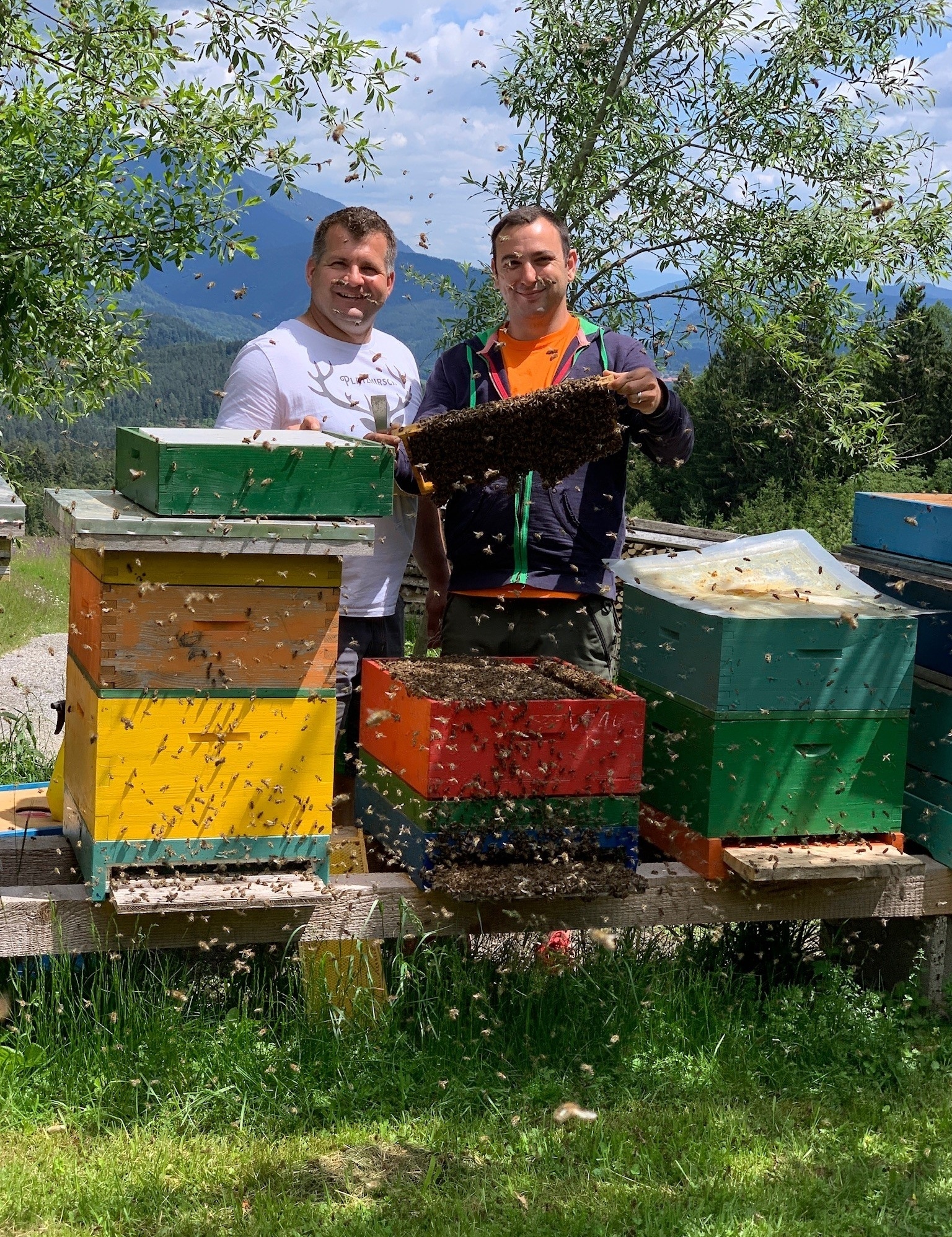"Bienen & Honig" - Imker zu Besuch am Feuerberg * - Wo wohnen Bienen? Was fressen sie? Was machen sie im Winter? - Erlebnis Vortrag mit den Imkern Martin & Oliver