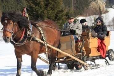 Pferdeschlittenfahrt durch das Winterland in Bad Kleinkirchheim