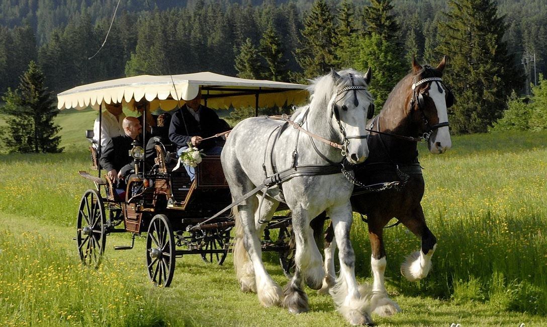 With the horse-drawn carriage to the Achenstüberl