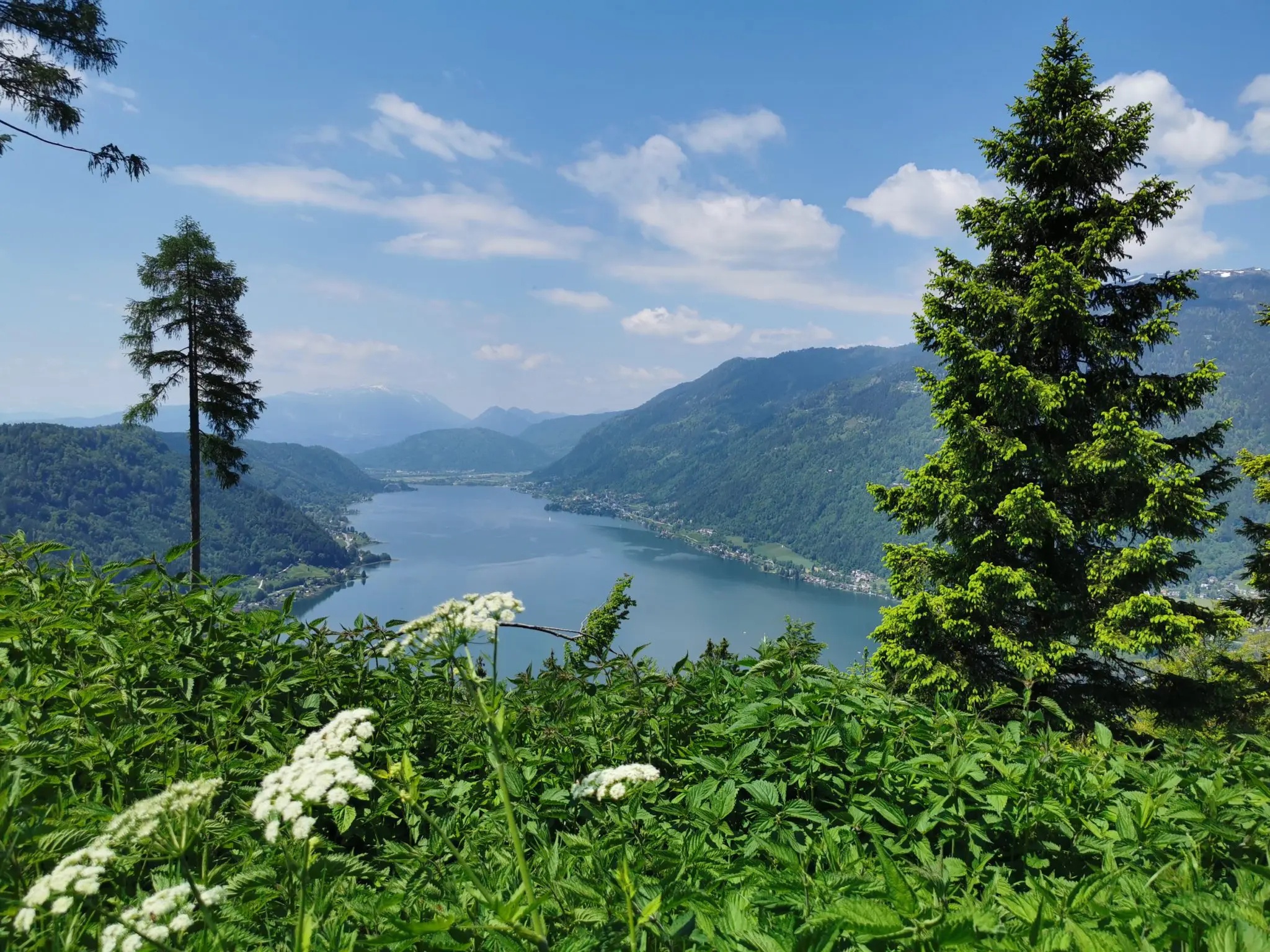 E-Mountainbike Tour Ossiacher Tauern - "Berg & See" mit Leih Bike * 