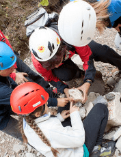 Geoexcursion