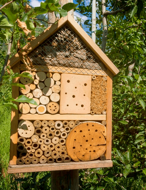 Insektenhotel aus Kinderhand