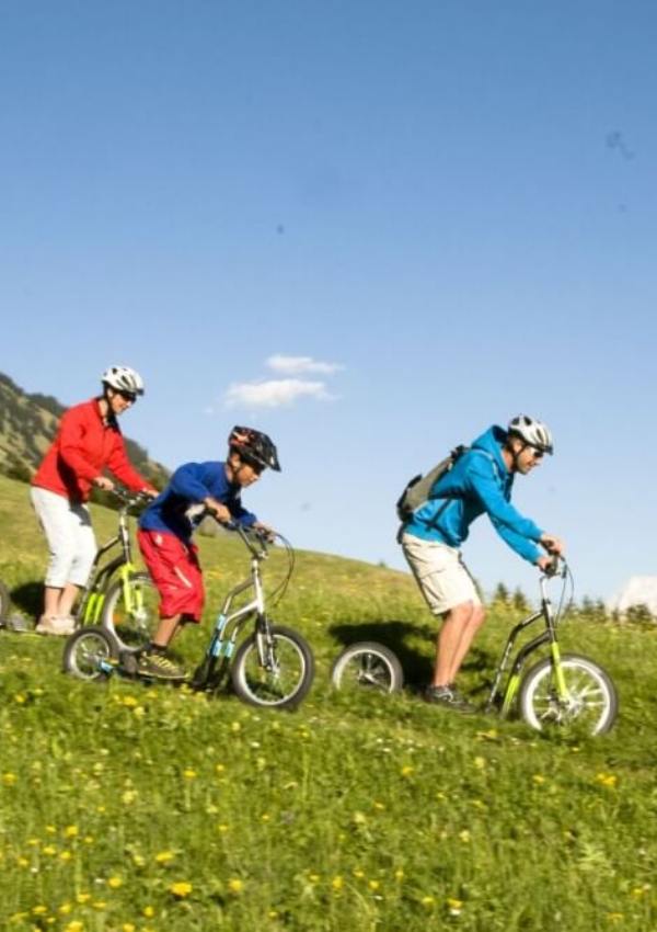 Mountain Scooter: The Mega Hit for Almost Every Family!