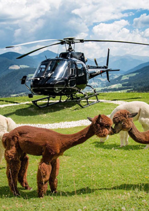 Sightseeing flight with helicopter