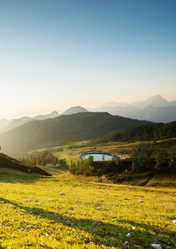 Morgenwanderung mit Sigrid auf die Hochwarter Höhe