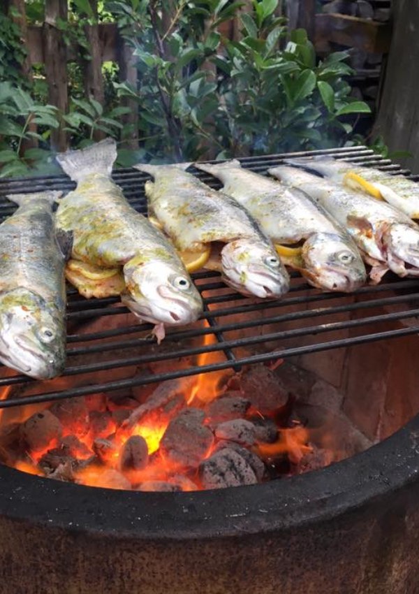 Trout Fishing and Grilling