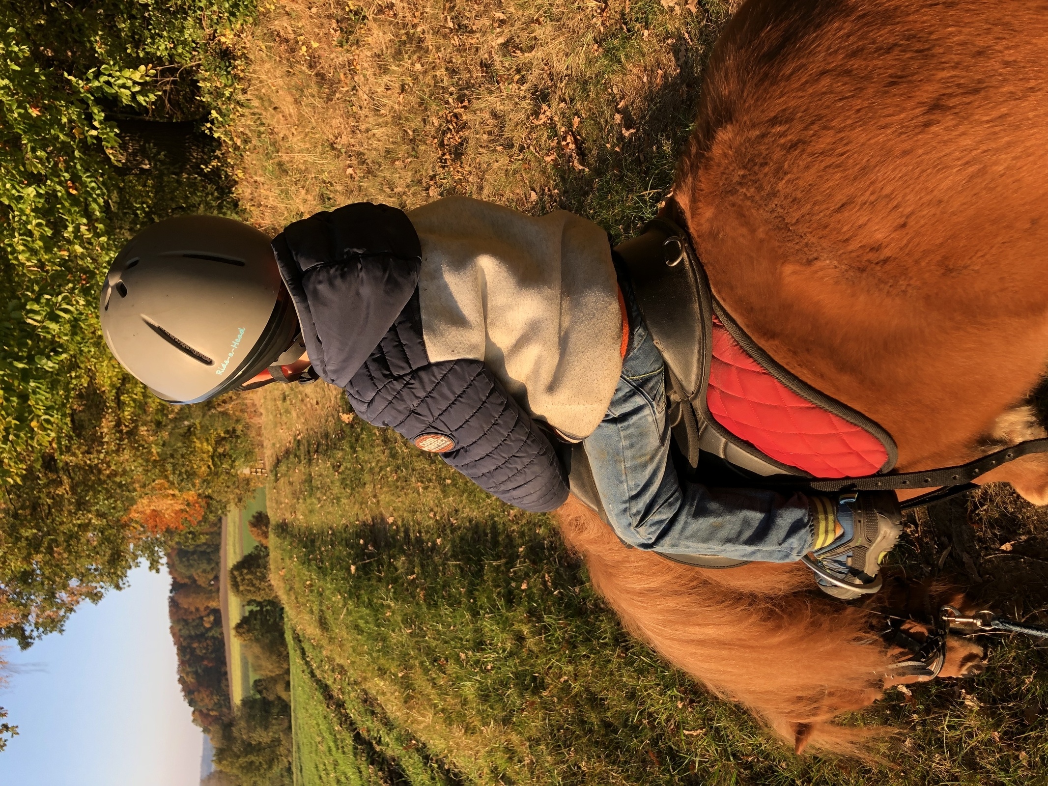 Ponyreiten