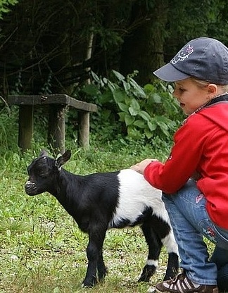 Cumberland Wildpark Grünau