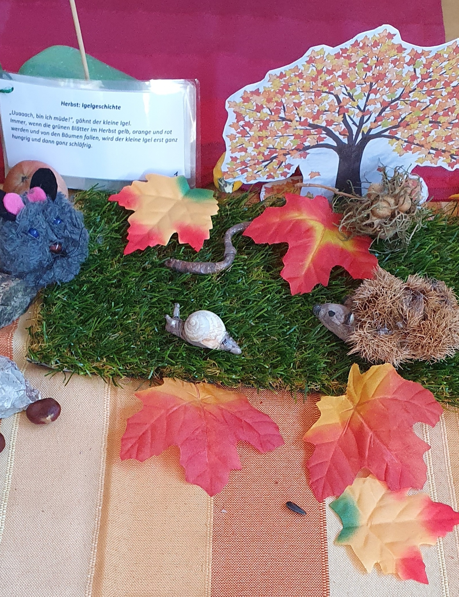Familienerlebnis - Der Igel im Herbst