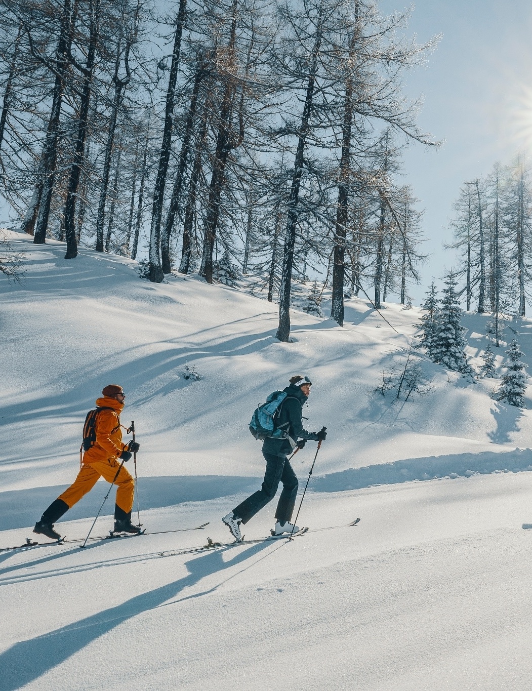 Ski touring route on the Gernkogel