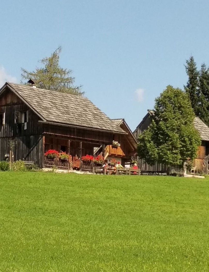 Bike tour to Steinitzenalm - Medium