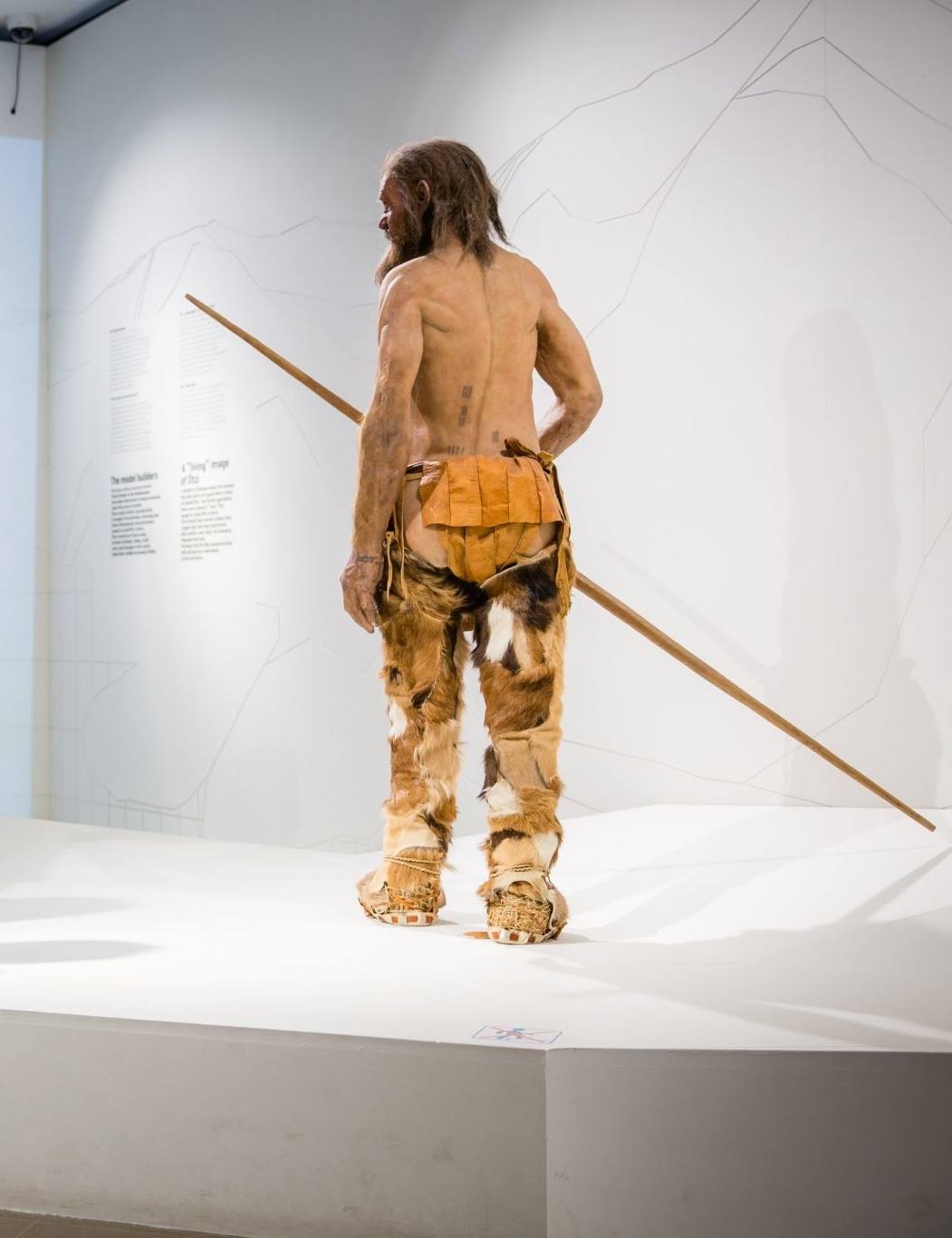 Ötzi - The man from the ice image