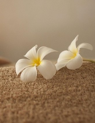 Spa treatment "Leg massage