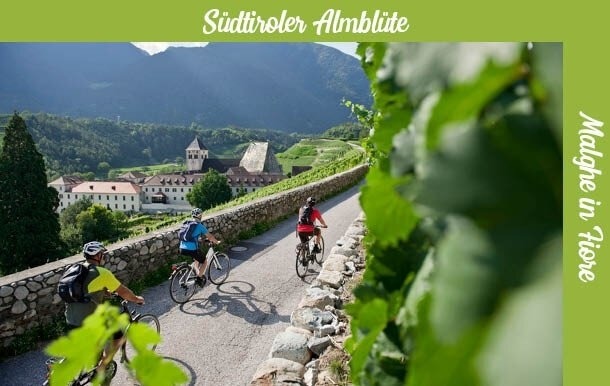 Geführte E-Bike Tour durch Apfelplantagen und Weinberge