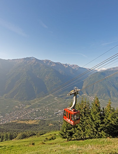 Escursione guidata con picnic sulla malga dell'Hotel image