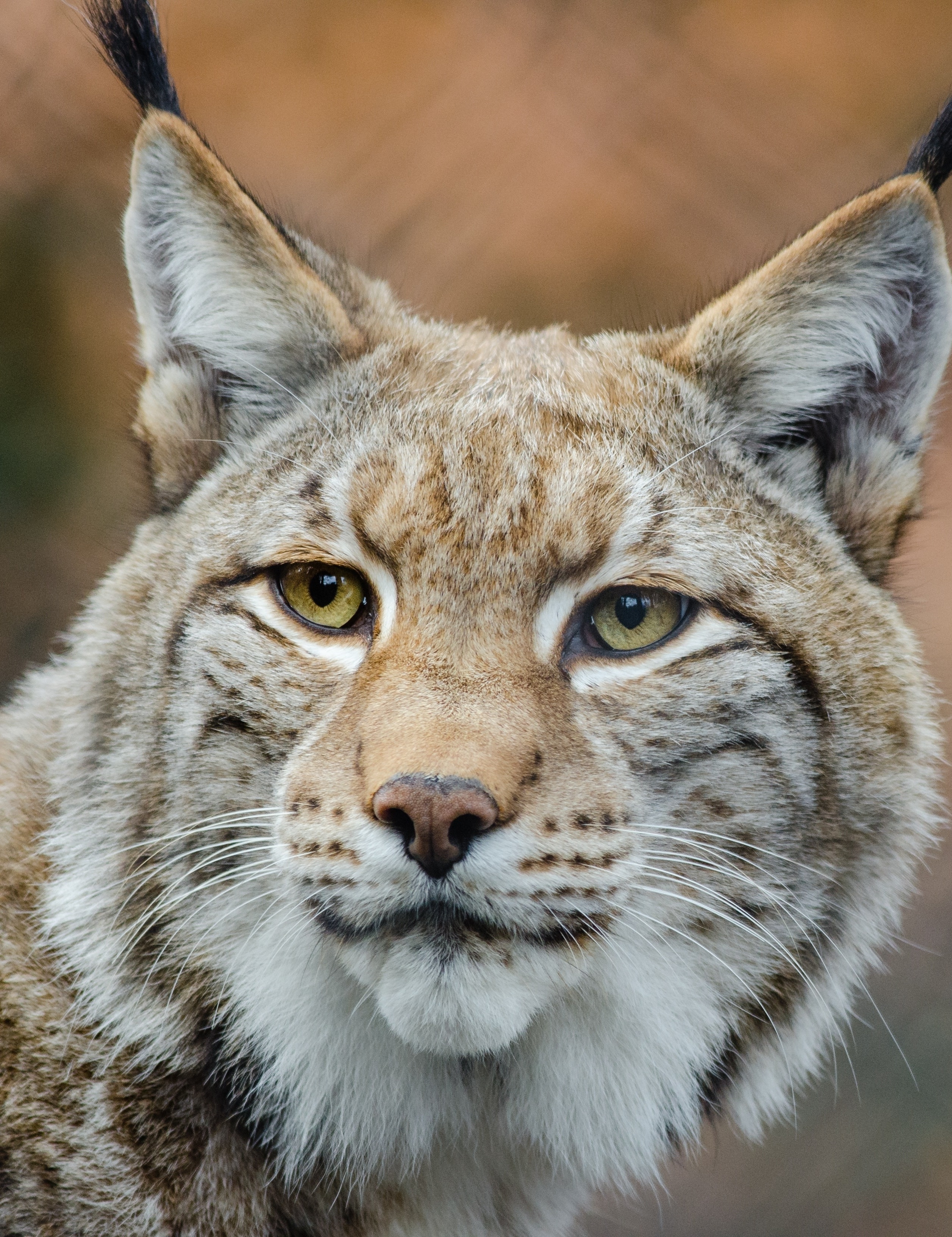 Tierpark Lohberg
