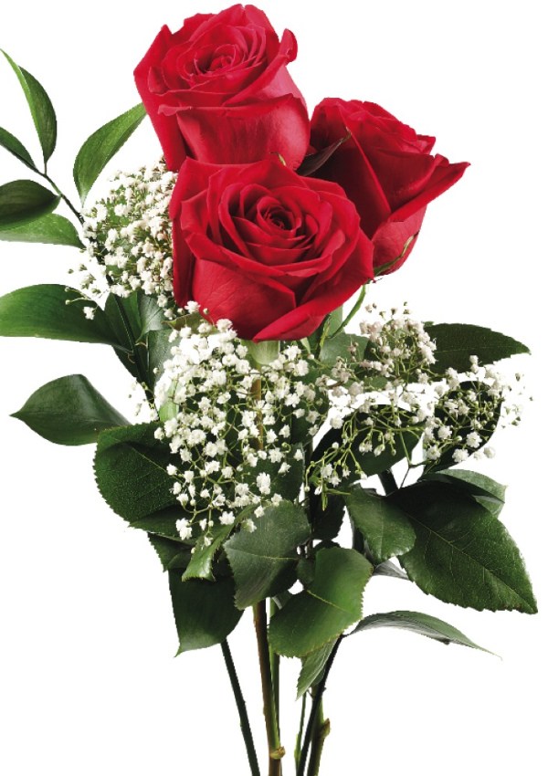 A romantic gesture