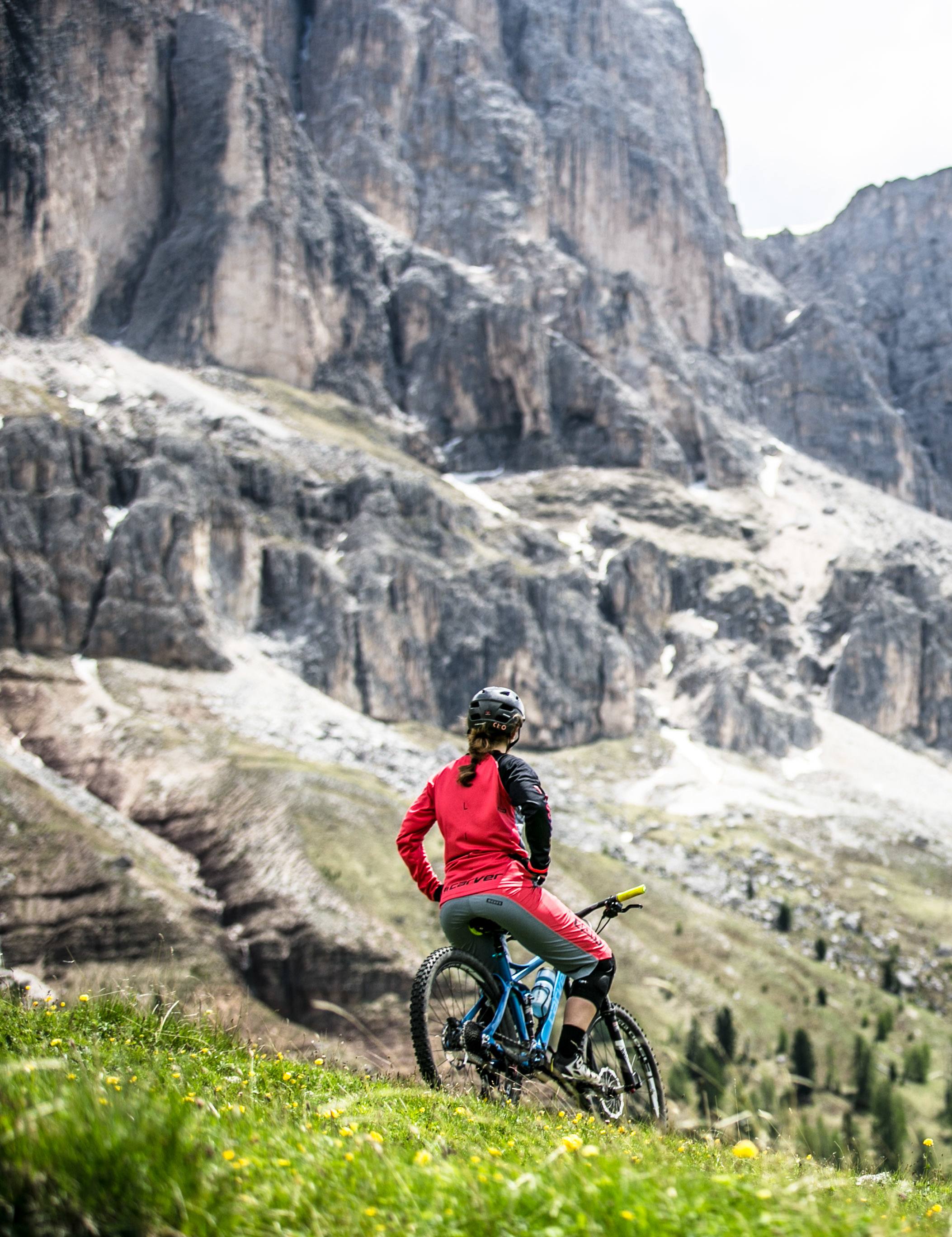 Bike Park Penguin Mountain Bike Track Penguin Mtb Park Mountain