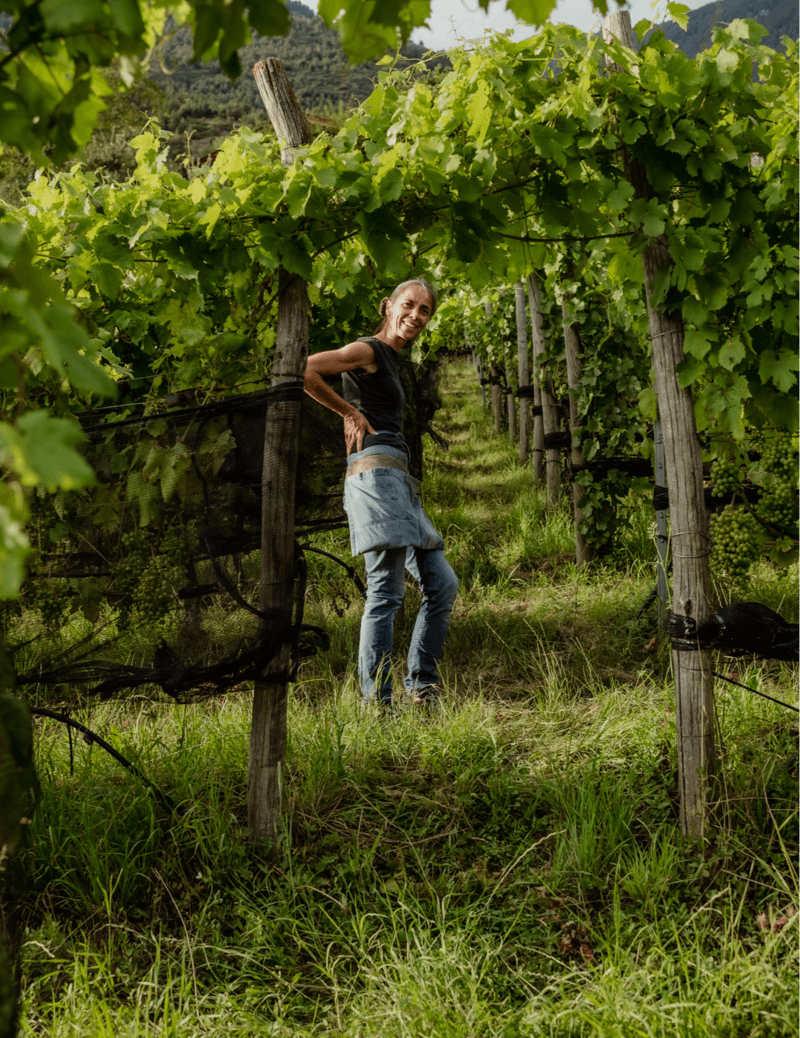 Winery Befehlhof