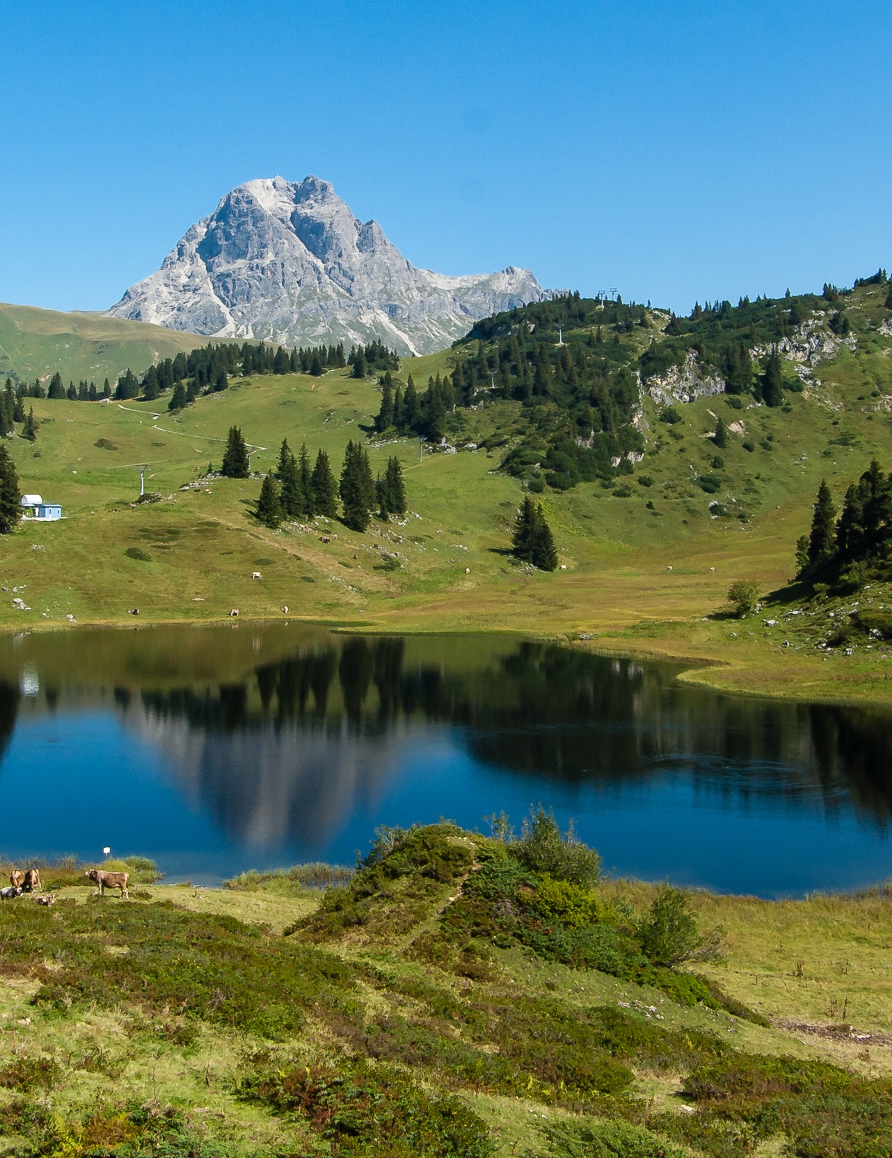 Easy hike with Kevin: to the Körbersee lake