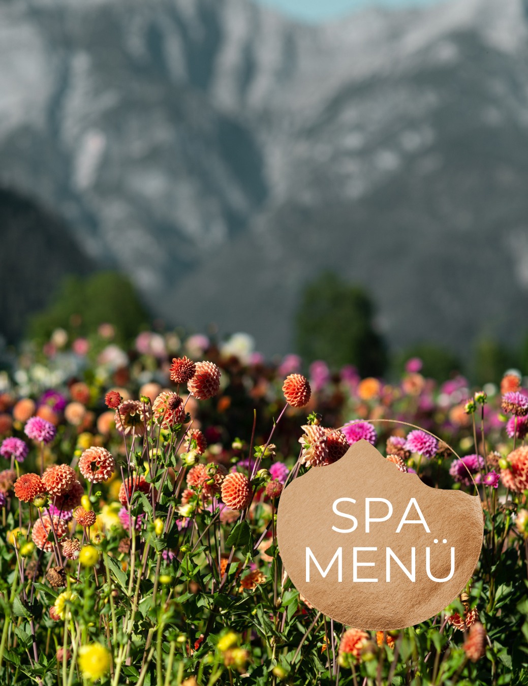 Spa menu