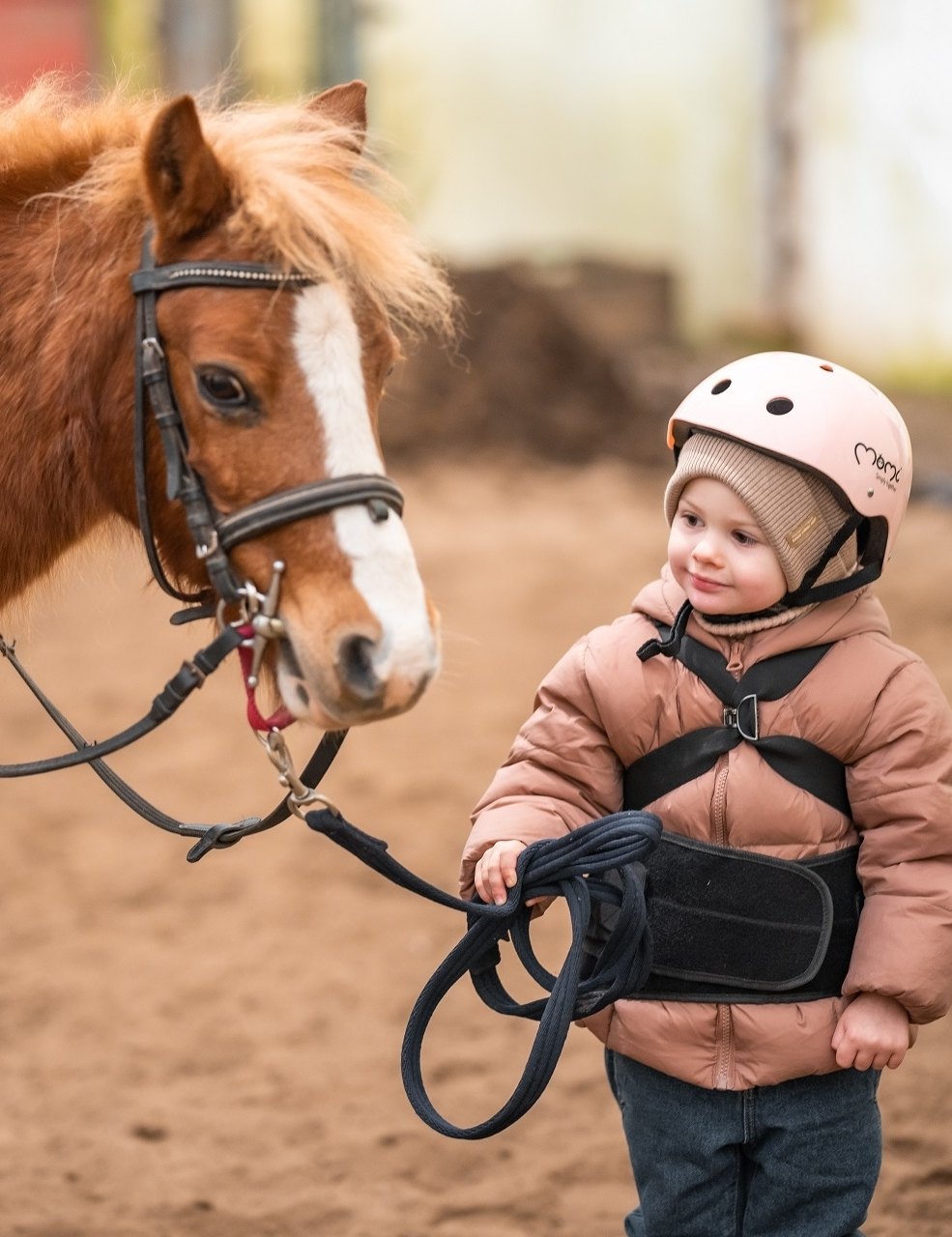 Pony- und Pferde-Parkour