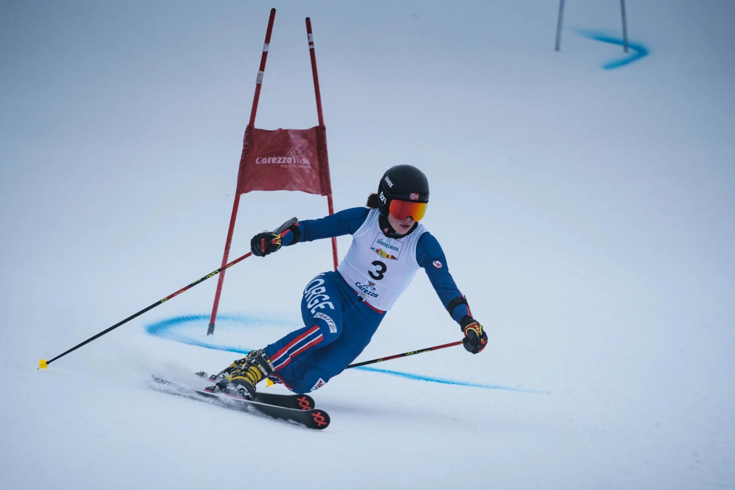 FIS Telemark
World Cup