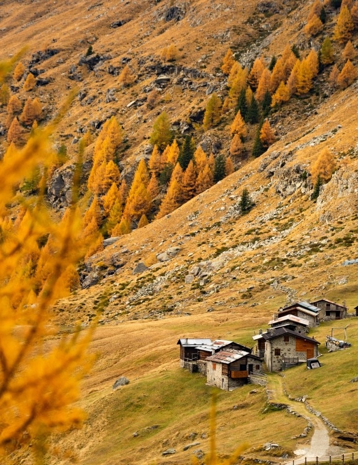 The best walks to take in the fall in Bormio