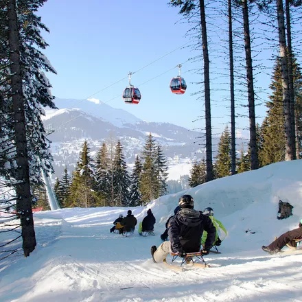 Auf zwei Kufen im Schnee - Lenzerheide