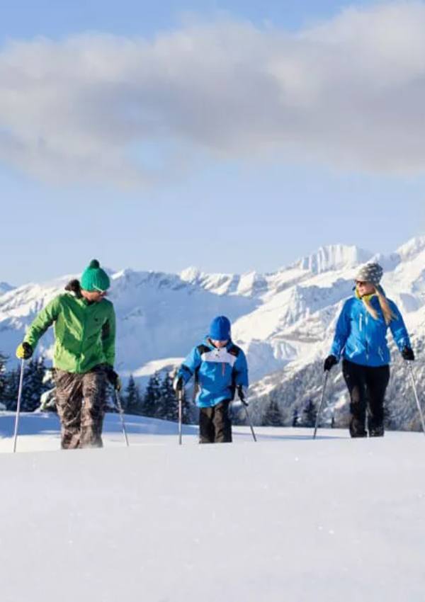 Through the Winter Wonderland - guided snowshoe hike