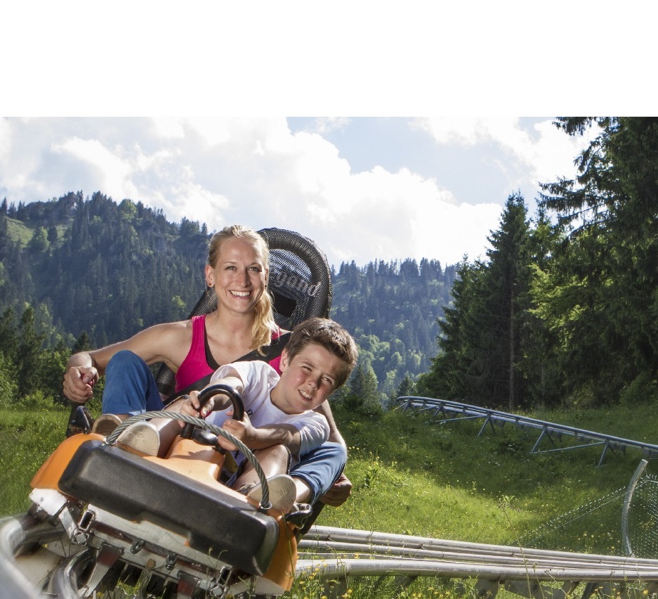 Alpine Coaster piston saddle