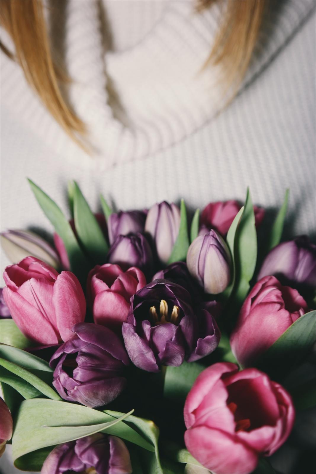 Blumenfreude Premium