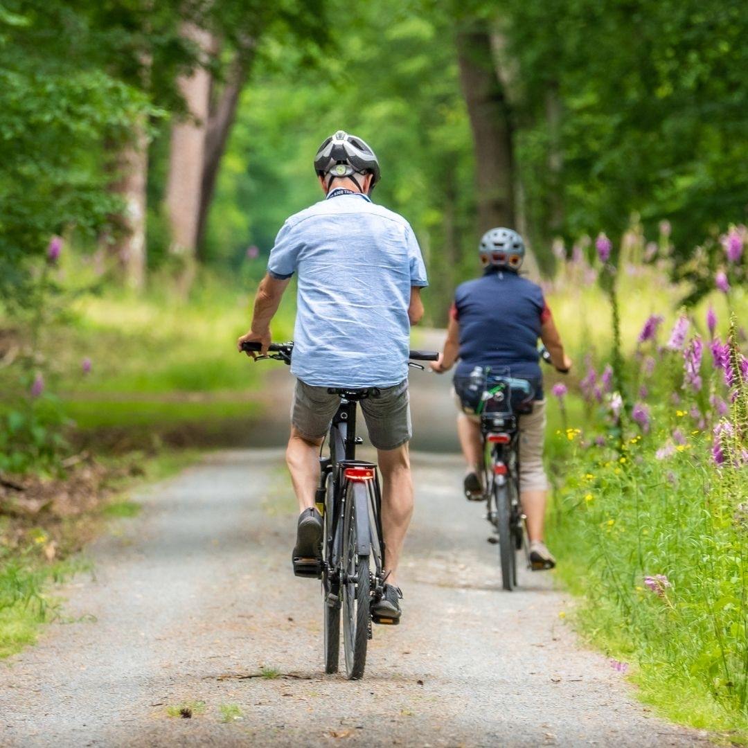 Geführte E-Bike-Tour durch den Linzgau nach Überlingen