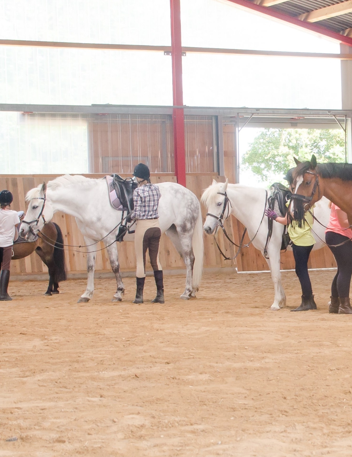 Group lessons