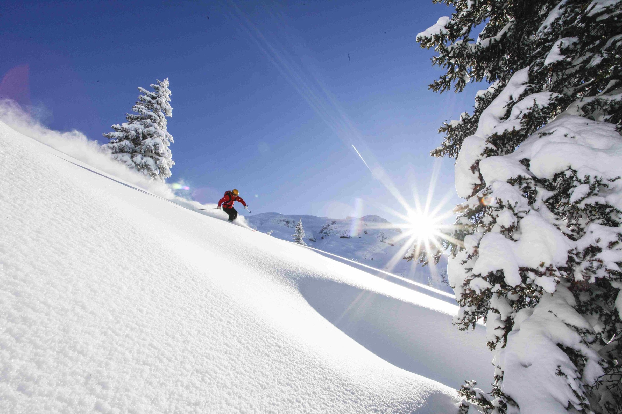 Off-piste with SNOWHOW - Guided day ski tours image