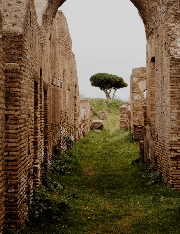Xantentour über den Alleenradweg
