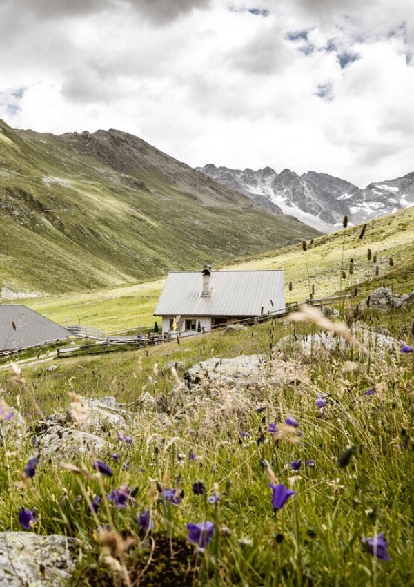 Culinary tour Platzeralm via Lahnkopf to Gschnairalm