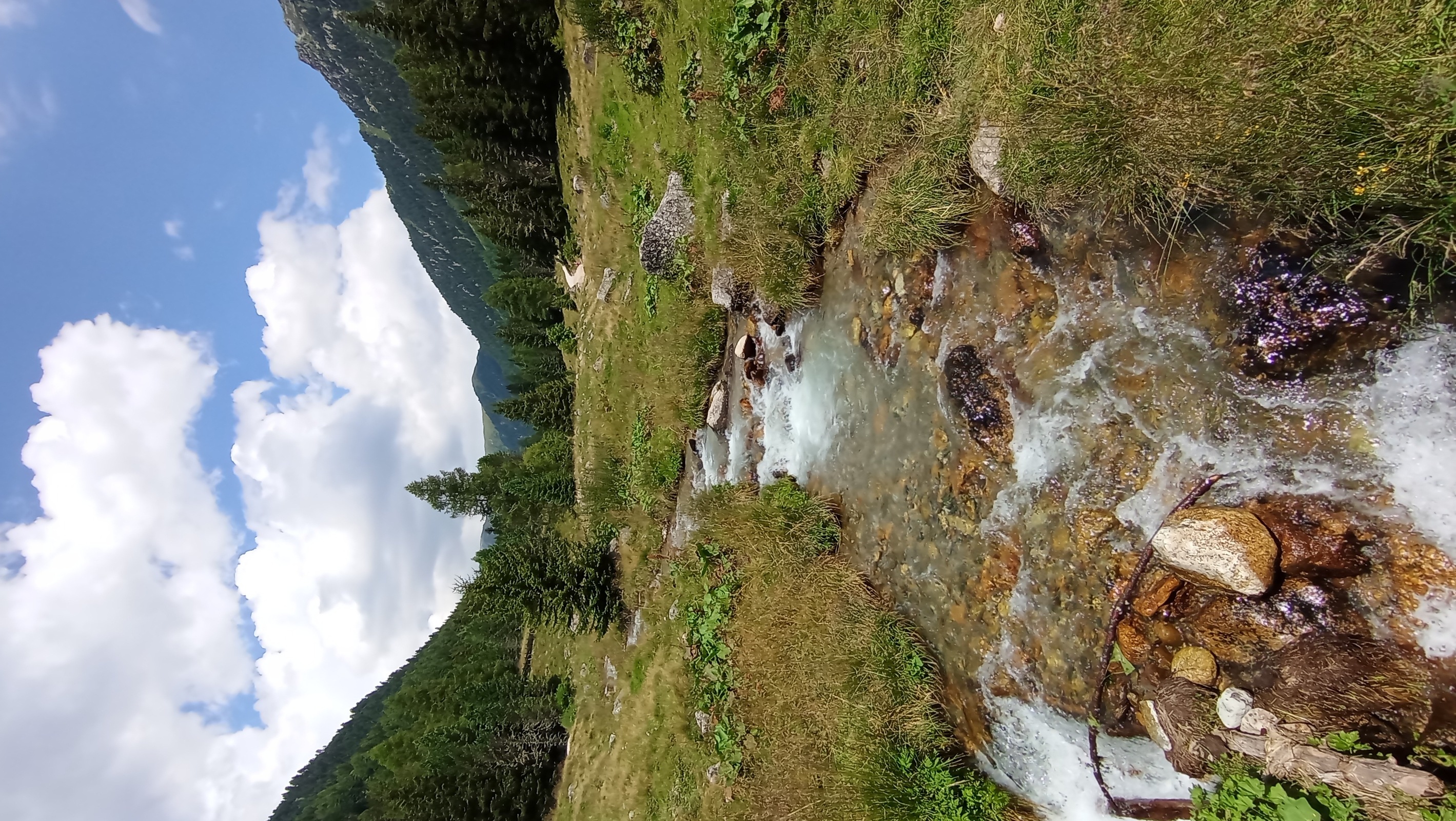 Hike | Haidacher Alm*