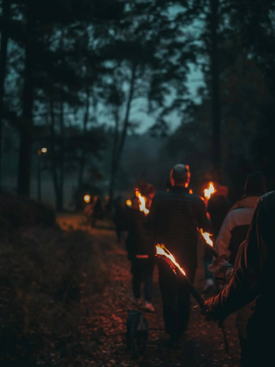 Legendary Black Forest torchlight hike 