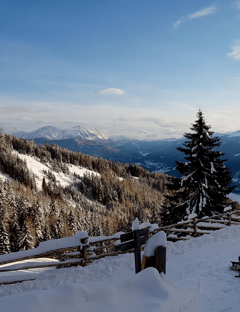 Hike | Grünbachhütte