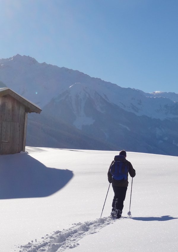 Guided winter hike with snowshoes