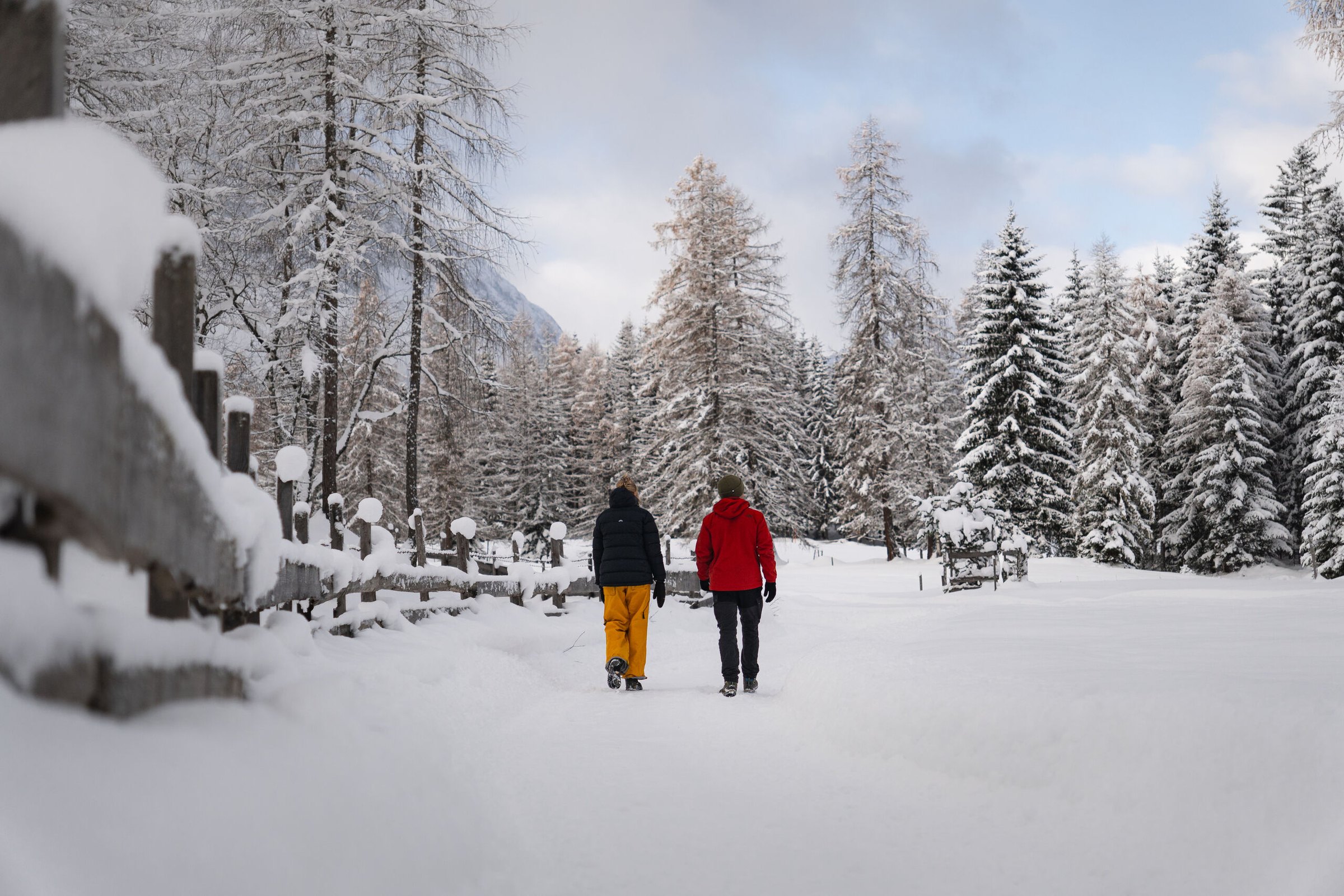 Winterrundwanderung auf dem Wiesenweg