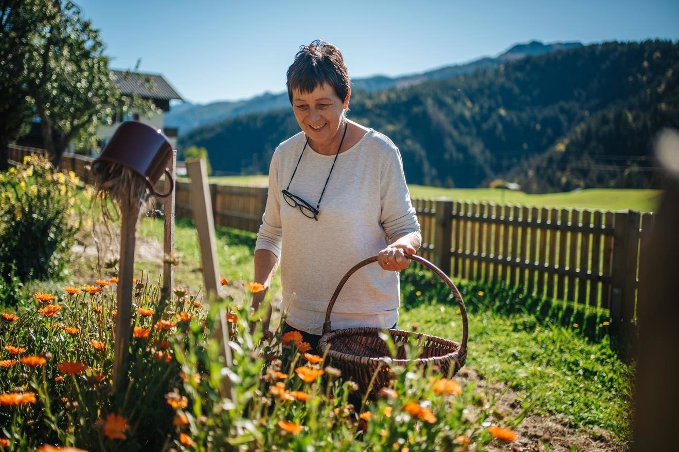 SFT Erlebnis - Die Kraft wilder Bergkräuter